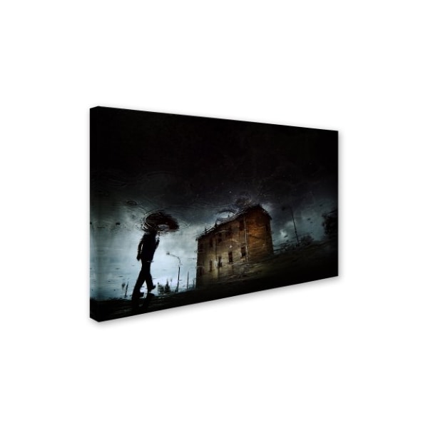 Antonio Grambone 'The Coming Storm' Canvas Art,22x32